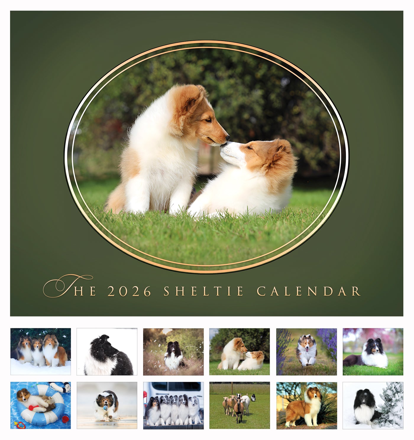 2026 Sheltie Calendar