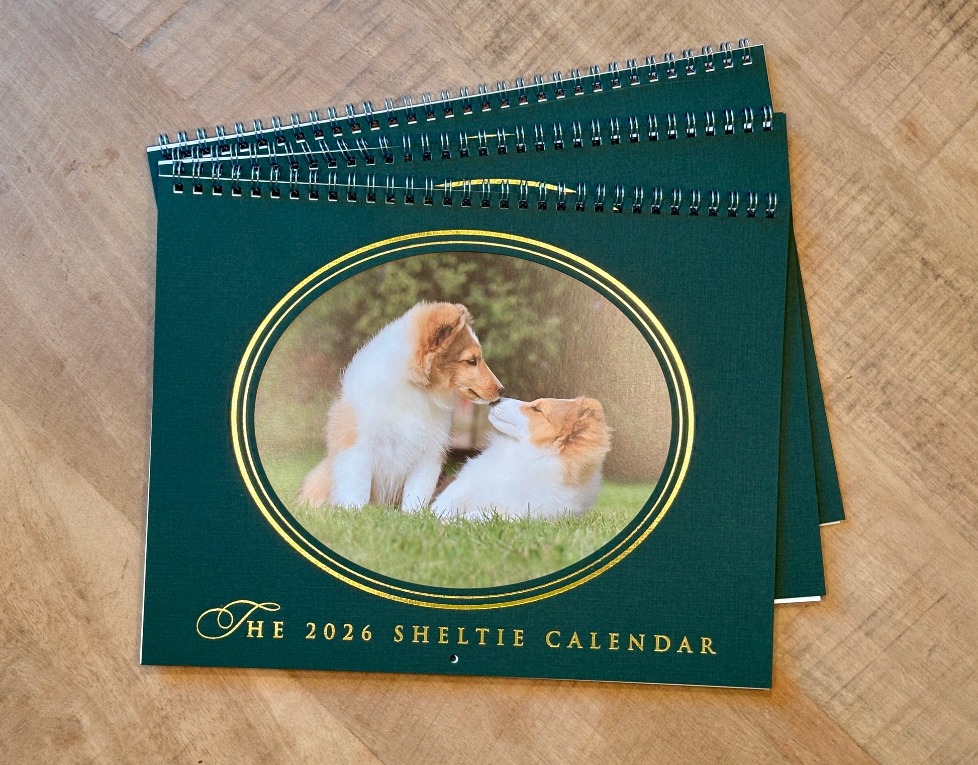 Cover of the 2026 Sheltie Calendar - two Sheltie puppies kissing